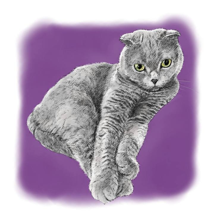 Dfb1392d f4b2 4367 b240 39e2b2886061 1587565401975