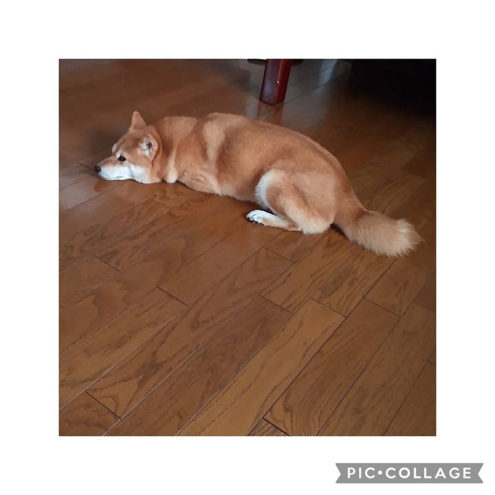 Dfb13f03 8452 4dd1 83f0 99304c6dc521 1723382566023