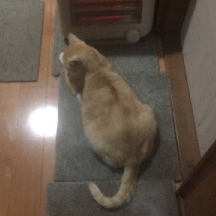 Dfb1a377 2629 4c4e bdf3 801ff8e3553d 1542665736166