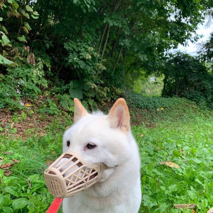 Dfb1fa61 6a39 4007 b626 17e5edacdf4e 1598911734882