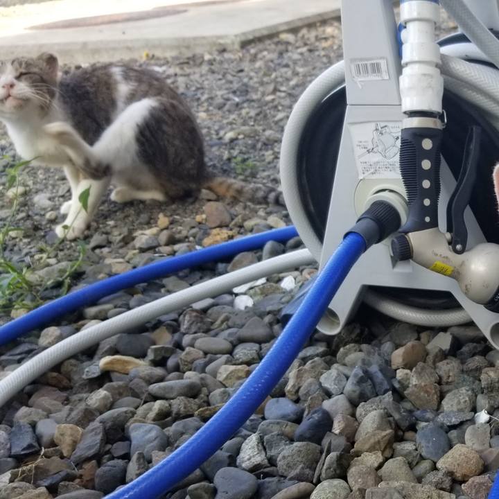 Dfb20793 2b24 4eff a85d 32d2f54e8590 1693487864384