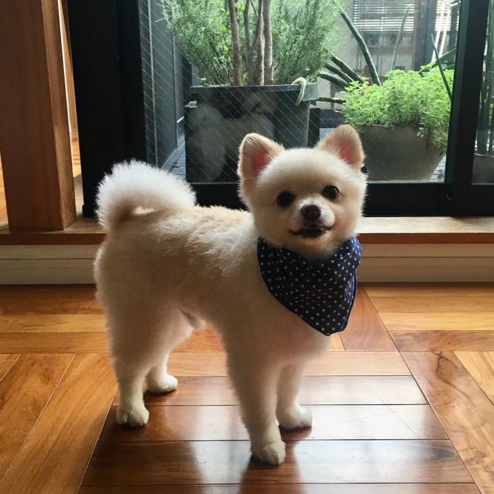 Dfb20d0e 2540 4ec7 9f6c a3c94f584282 1596755340969