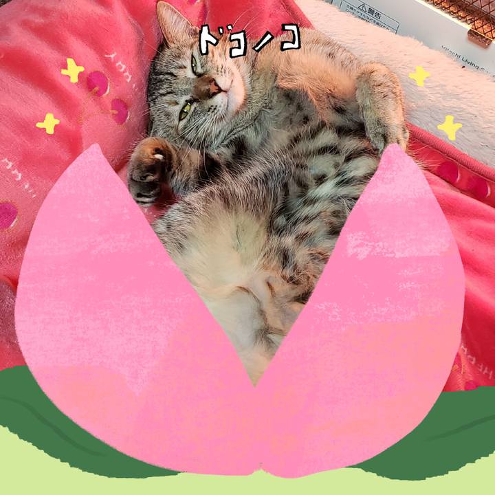 Dfb216a6 f47d 4db6 8079 21295a002d32 1771822146792