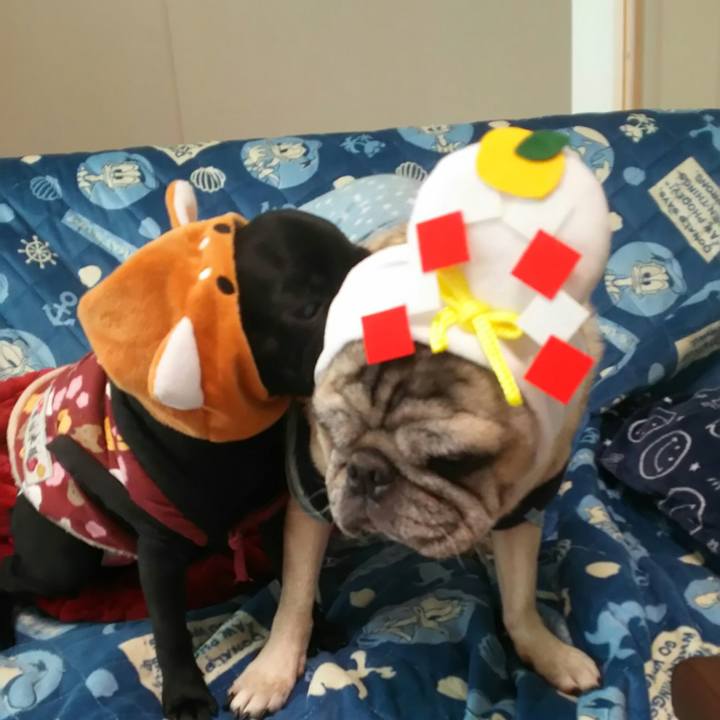 Dfb28672 026f 4ed9 8393 12336cdd5215 1515325429964