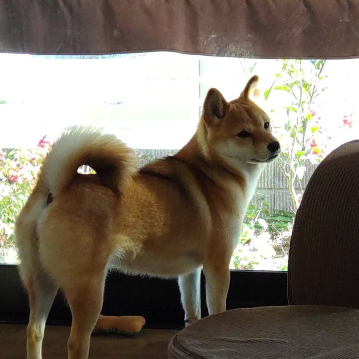 Dfb286be 6be0 4894 9c7c 60f5fef49d9d 1648966435801