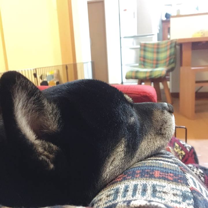 Dfb2a5a8 21dd 4764 aa98 d5a71f4b32a8 1547820658698