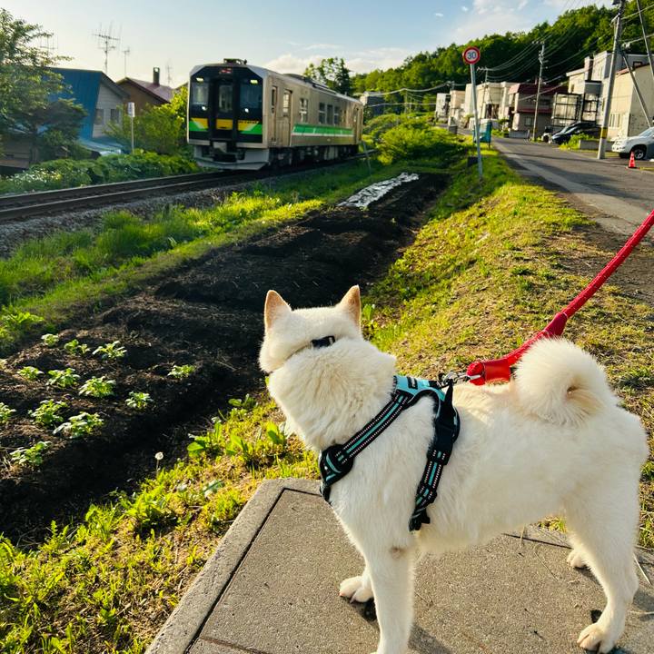 Dfb2bb7b edff 4a15 b21c af28ba0667f8 1685393864868