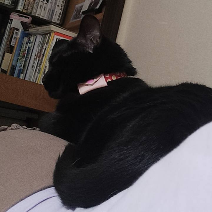 Dfb2caf4 e939 4e01 a73a bd066cdef88f 1656201727891