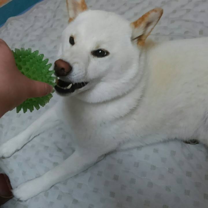 Dfb2de12 5604 48d2 b3cd 48f6fdb93556 1527336482033