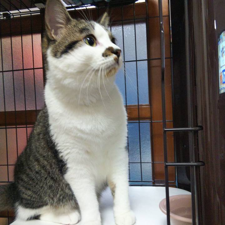 Dfb2fe02 ee72 4bbd aab4 56c87976c313 1624449169903