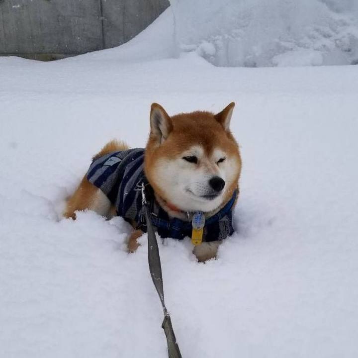 Dfb304ea e6f0 4bf4 ad70 4c170fb3c661 1565058513696