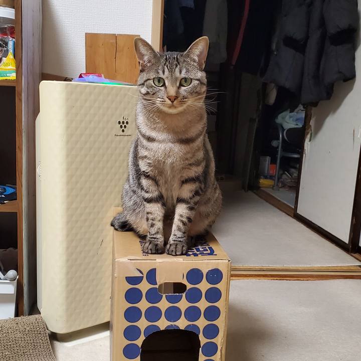 Dfb31151 b3da 45e9 80a1 b486491d2694 1702809149850