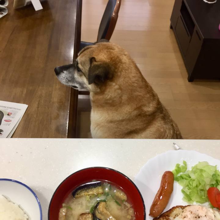 Dfb3216a cee4 432d 9ff4 741a96aefe48 1539471537376