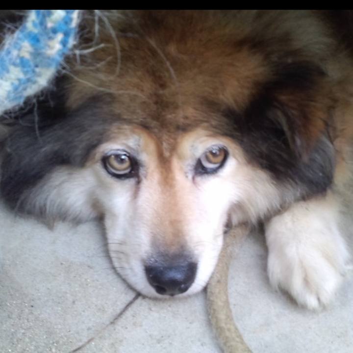 Dfb3307d f9f9 4713 bd9d 9e083c40c7b4 1608772106400