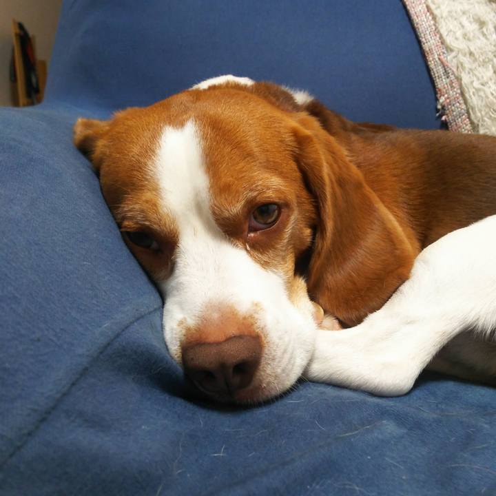 Dfb3476b 81a6 44b7 978a aeeaf635e741 1602227434996