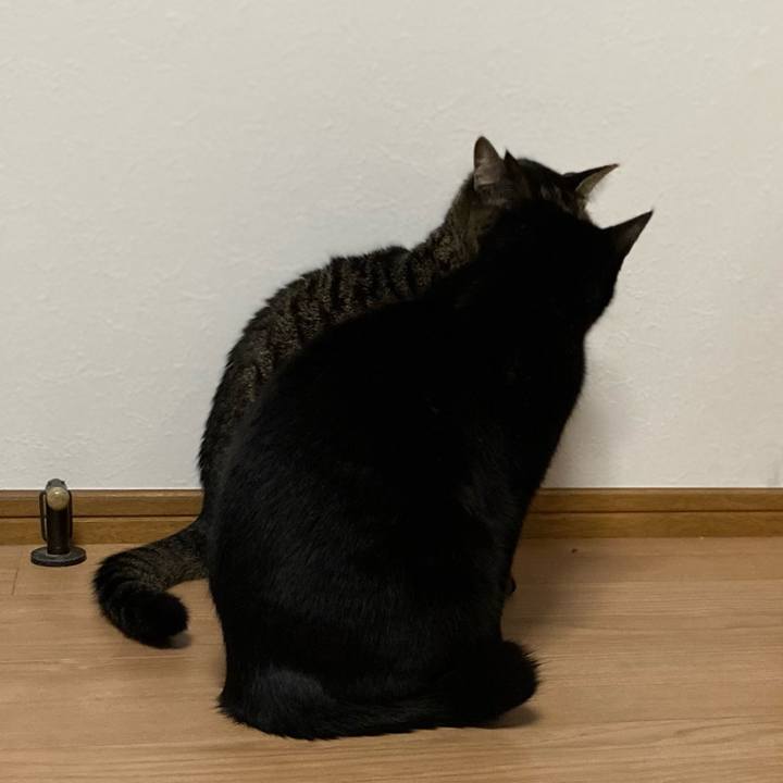 Dfb34b65 a597 49ff b7b3 89347759c845 1638711158351