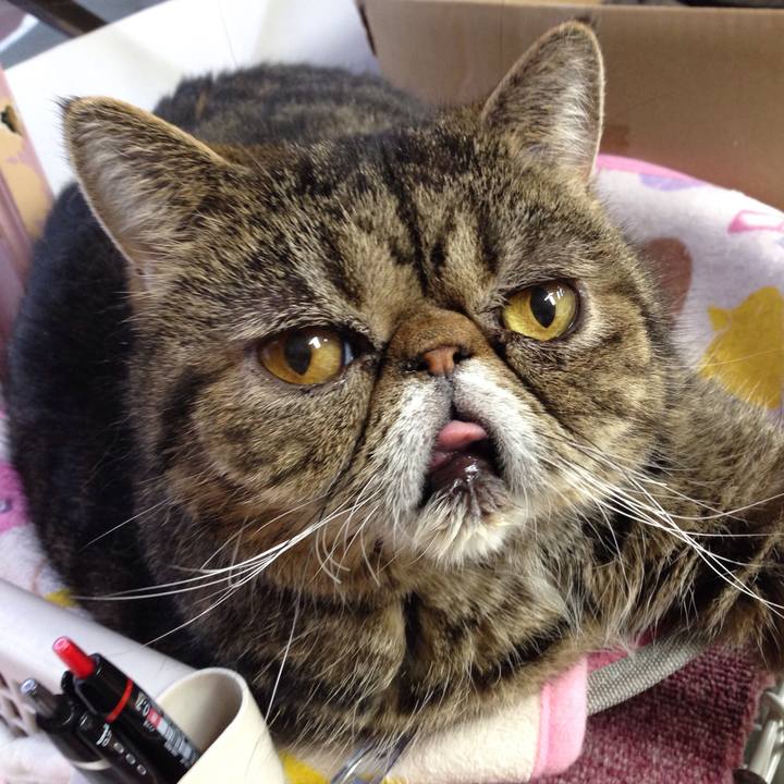 Dfb35c41 e166 48fa a630 73110ad5f86a 1526685702285