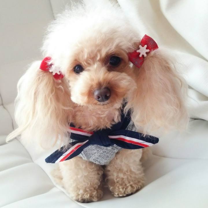 Dfb37e09 01de 47f1 ac76 688212cb8d4e 1516014639459