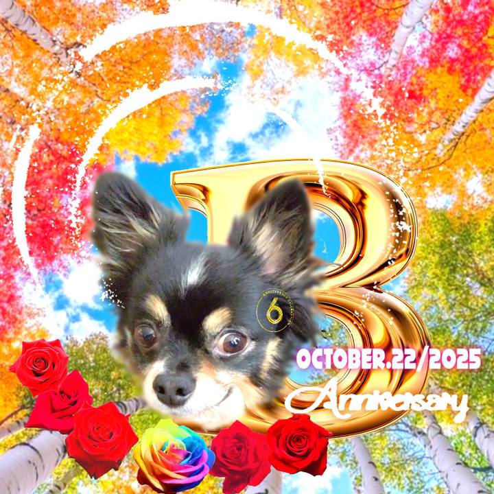 Dfb3aef4 9c10 4e77 b5c9 4415fa4c1694 1761452301581