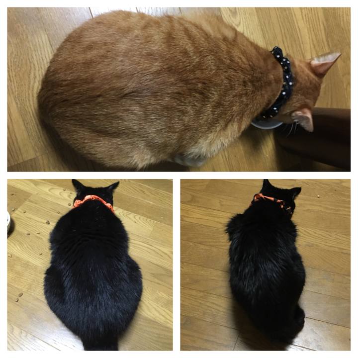 Dfb3c782 d155 4419 a480 685181bb17c6 1539170513818