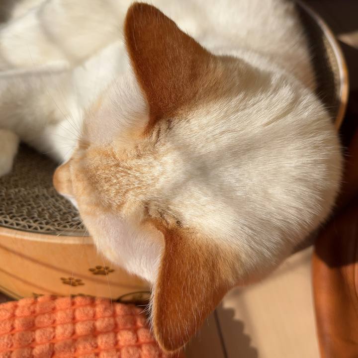 Dfb3d261 cb17 4f8a 8408 b86fb81d02a9 1764213731893