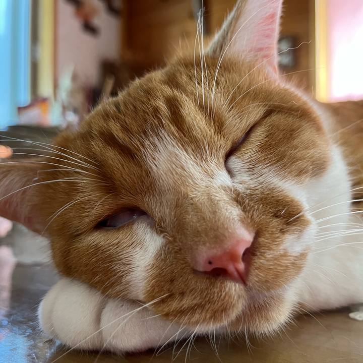 Dfb3dd0c 2e03 4031 81c8 cb0c88815580 1693107006428