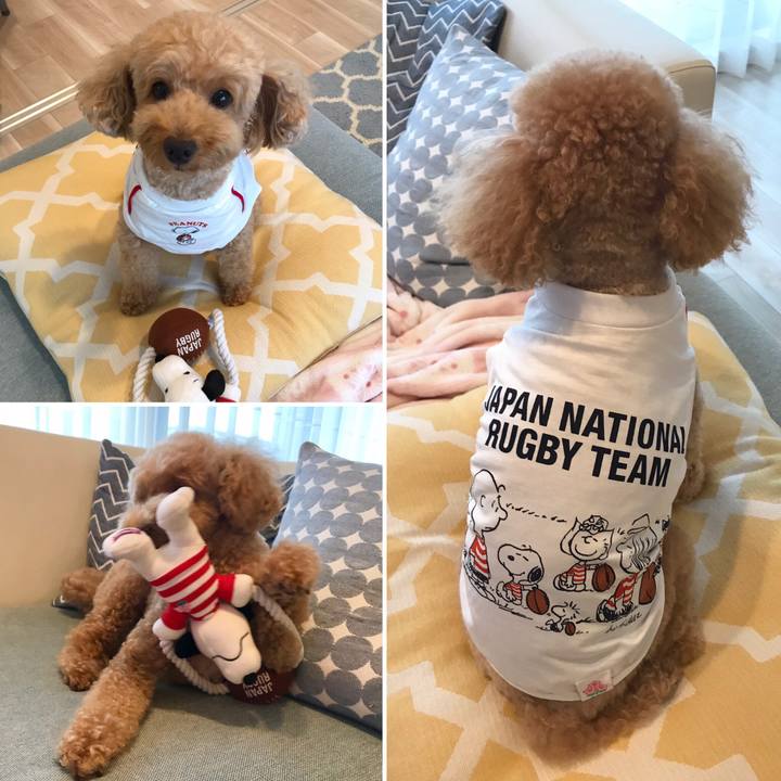 Dfb3fd5b 0693 4155 9ba1 d1126c57e960 1566898390513