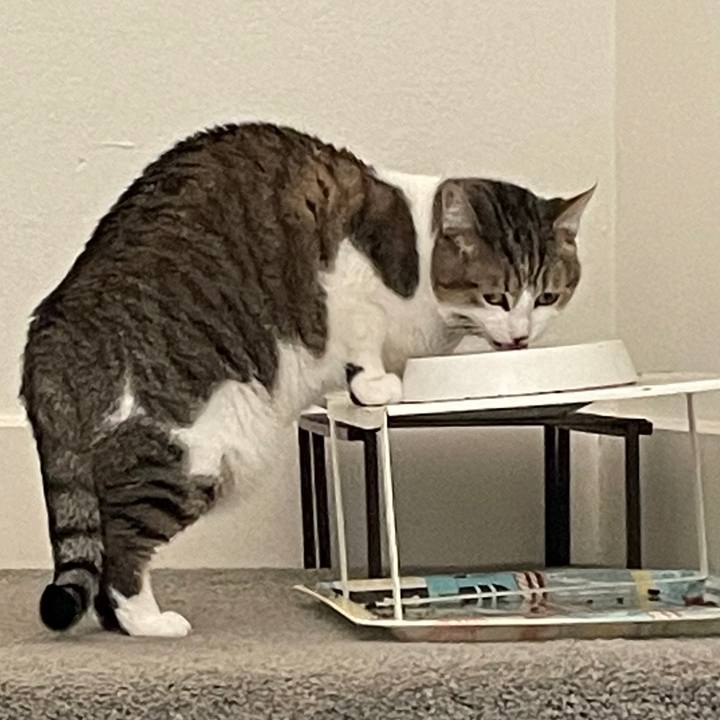 Dfb420f1 6fd7 4deb 9ccd 6c412f8adf79 1769479191614