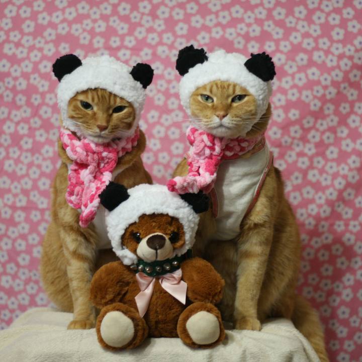 Dfb4c52c b55a 47f1 ad78 560f2450eae4 1515770737650