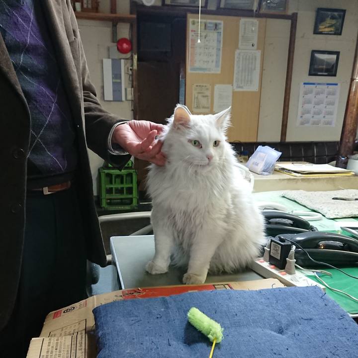 Dfb4c7f7 756f 46e8 be70 16611e4a42d3 1520806951374