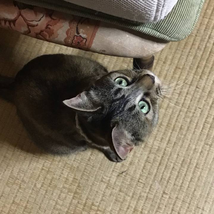 Dfb4e127 af8e 4681 b92e fa5af4aa7d43 1649713725837