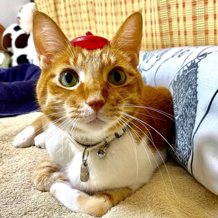 Dfb4f70f 6609 4d22 b977 cea4ca2cbf0e 1663411734054