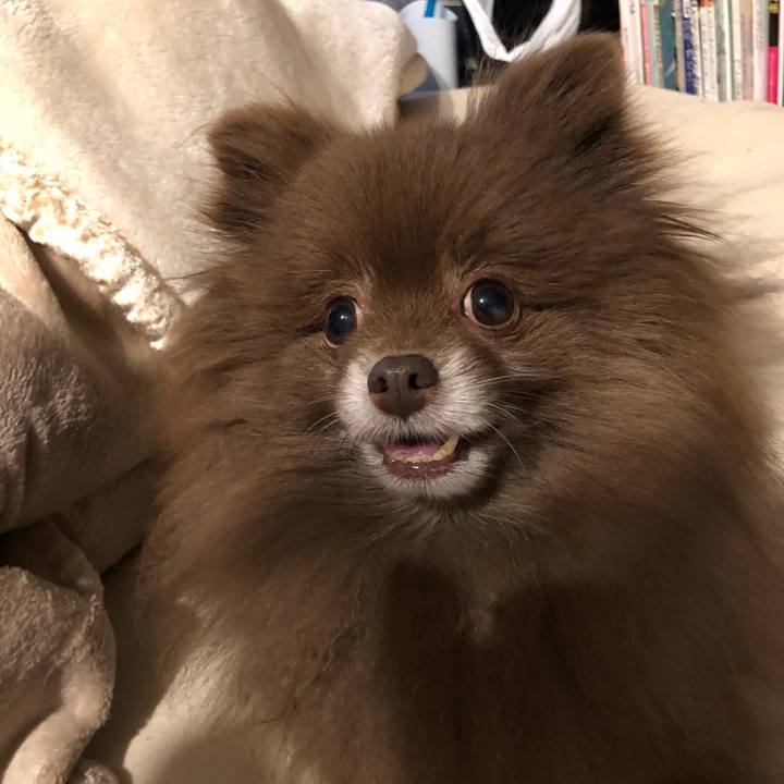 Dfb50fc8 3bc3 42bc bc38 9ba863ef2bbb 1553085464213