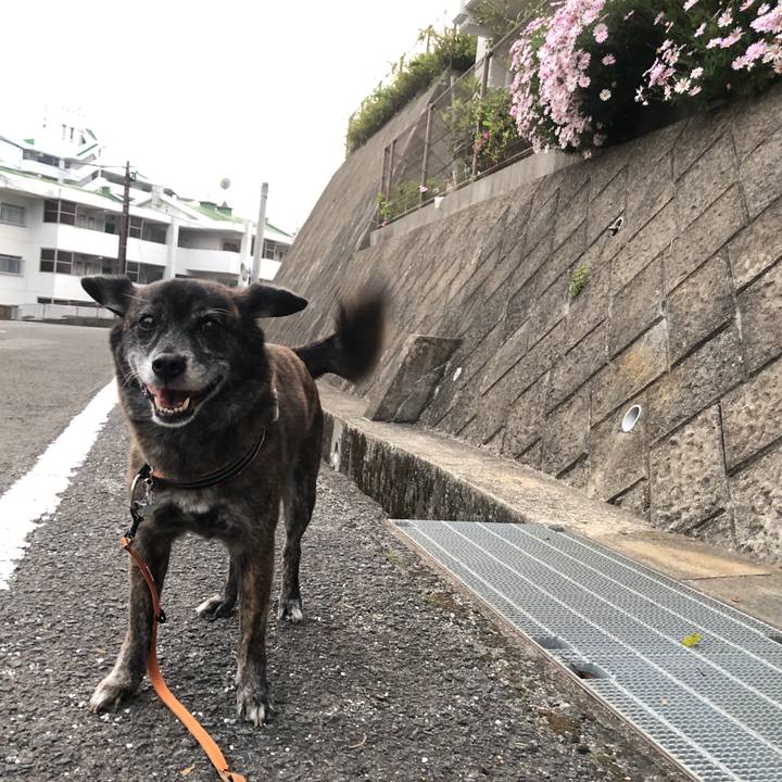 Dfb528b3 dbf0 4dae 8513 45831300f310 1617018062441