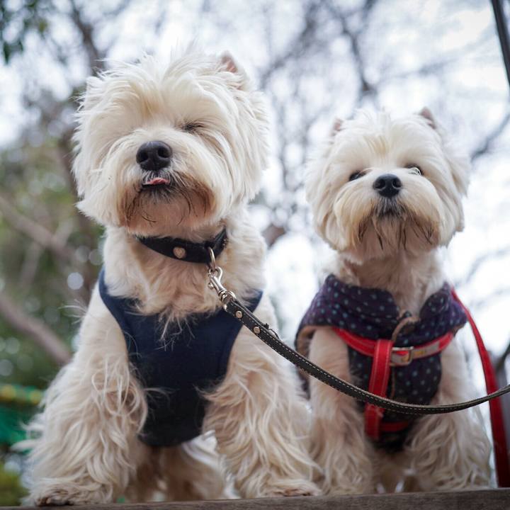 Dfb54d58 805c 4155 a96f 07481cb799dd 1519251758180