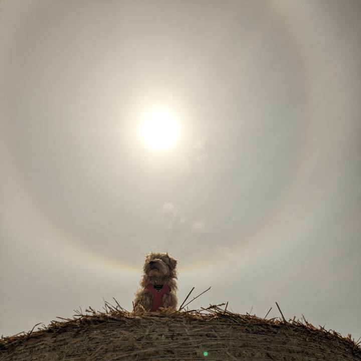 Dfb552e1 4de4 4b3c 872f e4eb0a837e6a 1713682877926