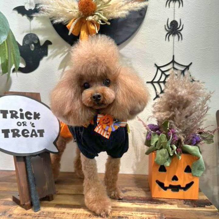 Dfb58fba 1743 4883 8063 8855cd71d2f8 1761893302750