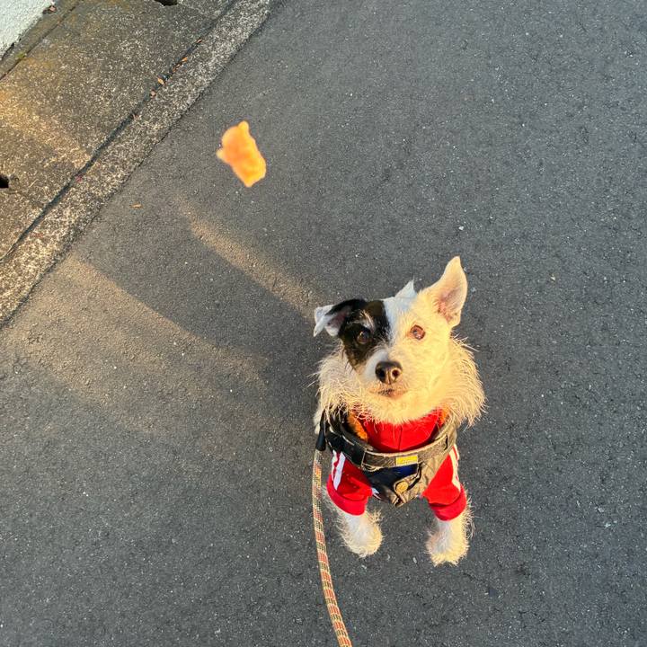 Dfb5aa09 8d52 4e03 9267 e98fed9ad19f 1767308542016