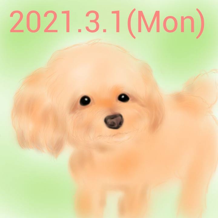 Dfb5bd21 68d0 4d4f aac9 a4b912b3bf42 1614580870500