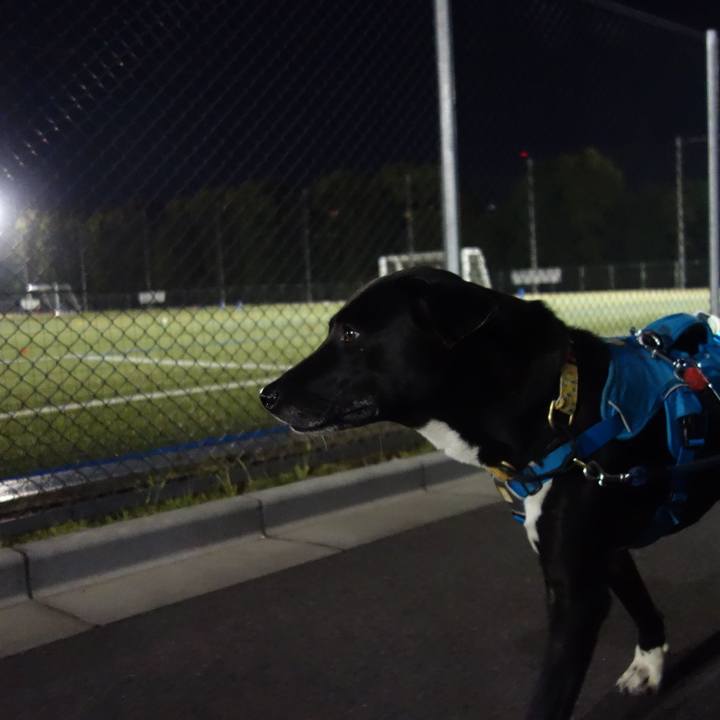 Dfb5bd4d 5d57 45f5 bcb1 afd048e596d3 1619190943066