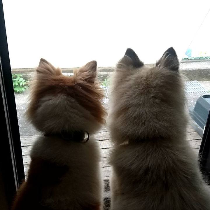 Dfb5d1c7 d4bd 44e8 910d 7ac3c854514c 1585658760977