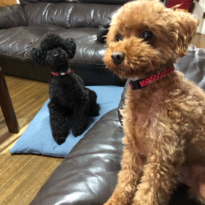 Dfb61de9 58e7 4f29 a795 60766ecee99d 1563228764404