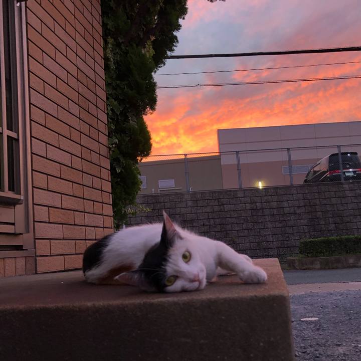 Dfb61fc0 0d71 43af bf2c 979900b170dd 1626866655717