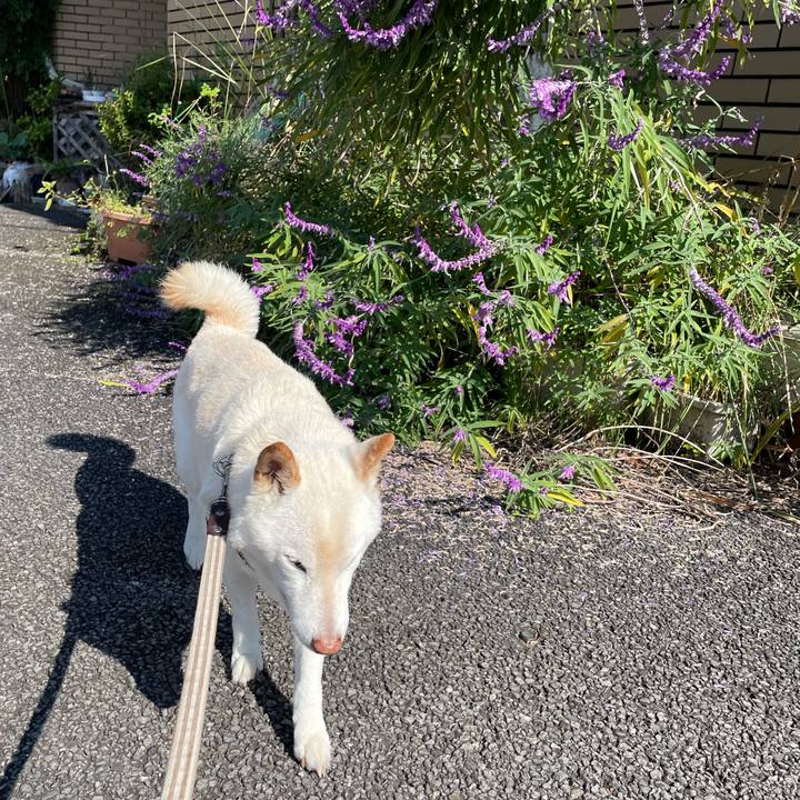 Dfb660ec ed5f 4d94 92fb 2d7d33d848d9 1635400150592