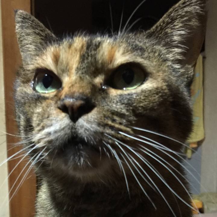 Dfb66835 7faf 430b ba4c ba3be6caecea 1539680360180