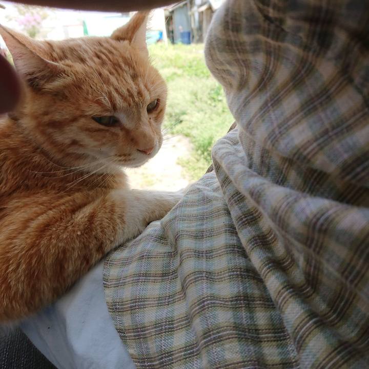 Dfb68199 532e 44ff bbb4 27adb7aa2c91 1588565509102