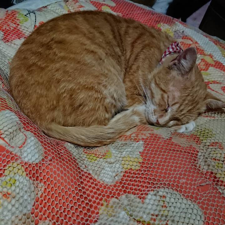 Dfb6a611 c4bf 4307 8fa3 22fdd0b03c52 1559220798162