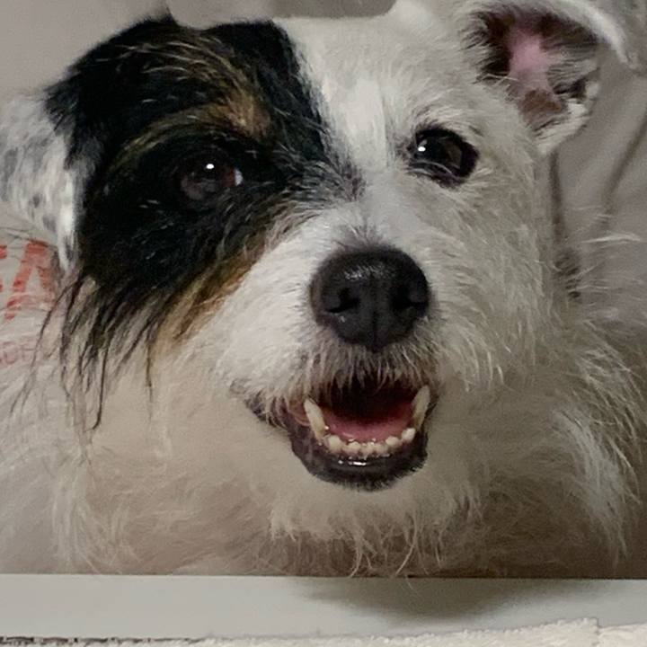 Dfb6e77e ce84 4e4a 94b3 2ec8fc412226 1628763995919