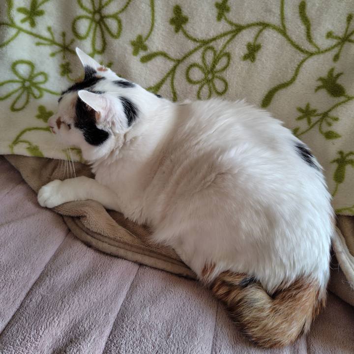 Dfb7181e e77c 45ec 8453 016ebb4d3877 1731411253537