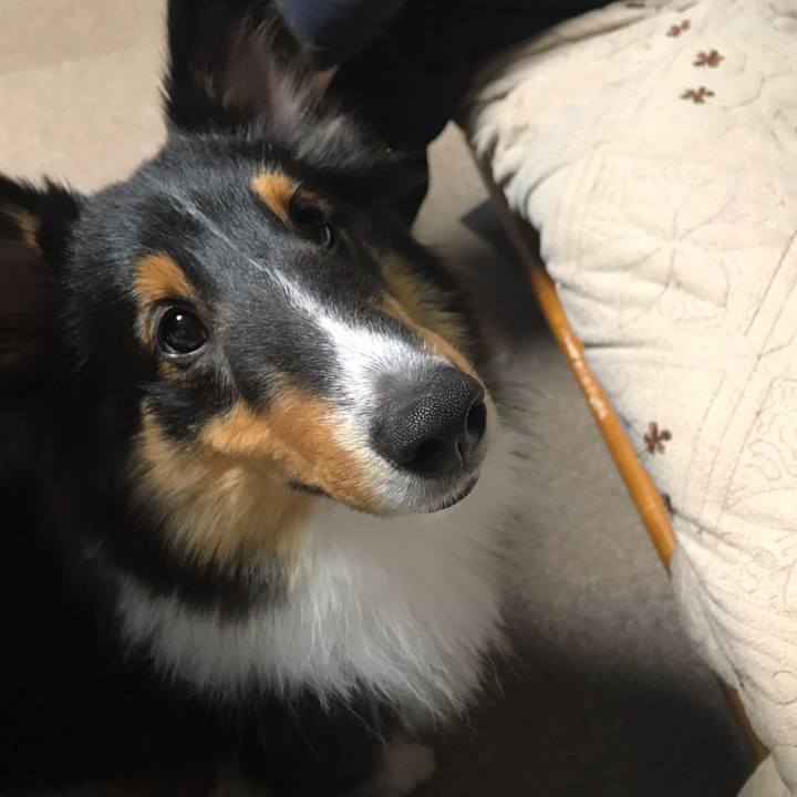 Dfb723b9 e7e4 47a7 962e e3b5150ac96e 1540331451946